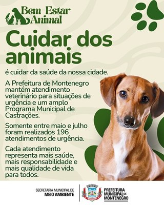 Prefeitura amplia atendimentos veterinários