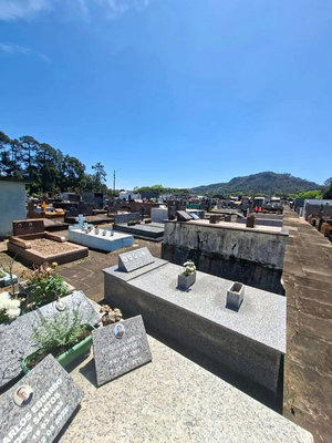 Produtores devem se cadastrar para venda de flores no Cemitério