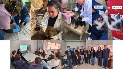 Programa Melhor em Casa Animal reduz casos de esporotricose