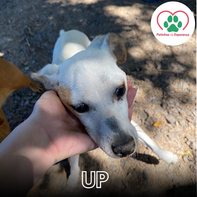 Up