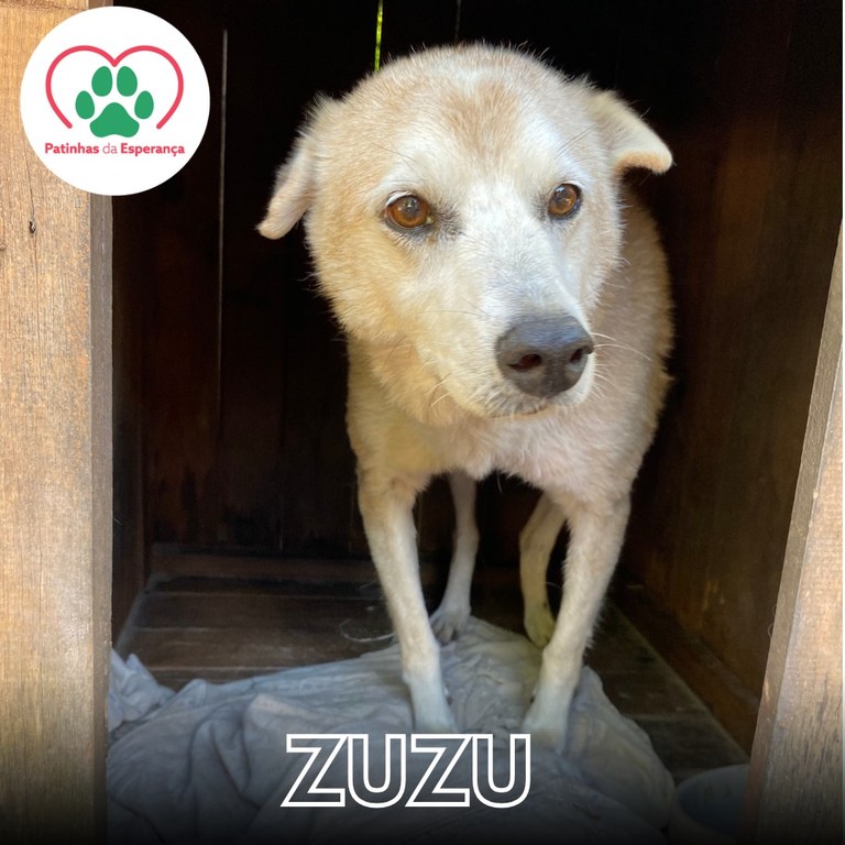 Zuzu