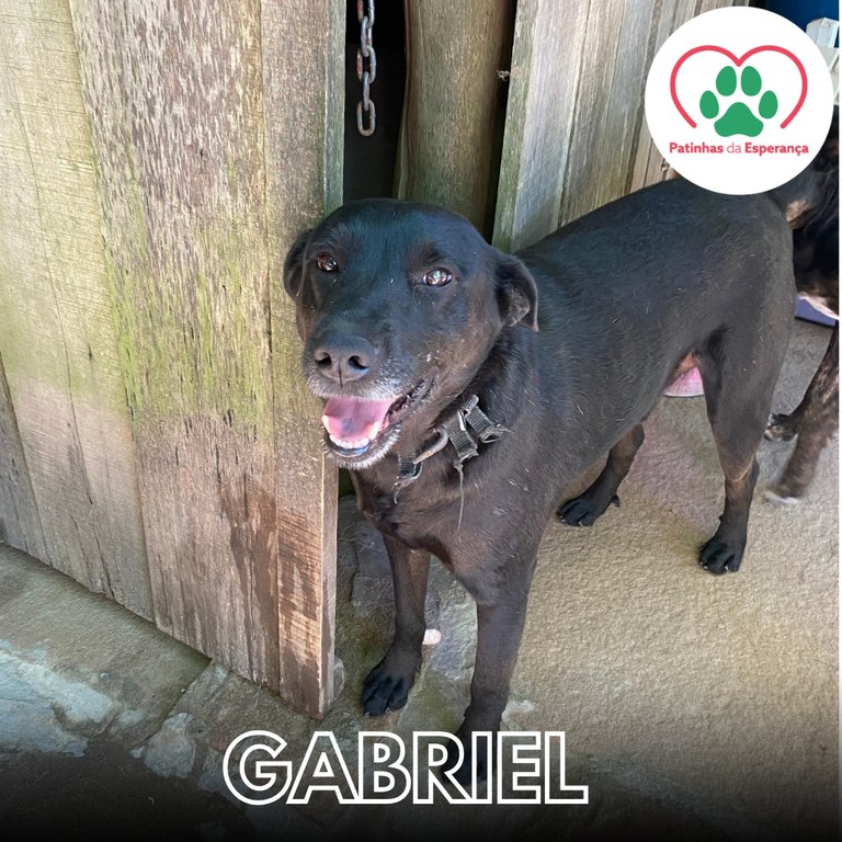 Gabriel